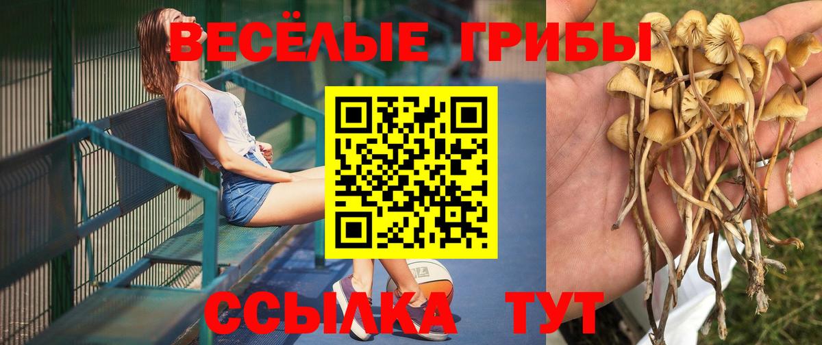 купить наркоту  Галлюциногенные грибы мухоморы  Вход с VPN  Иваново 