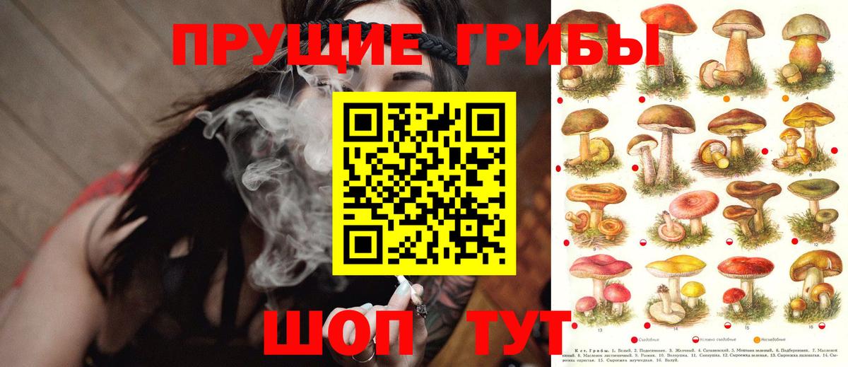 Канабис Иваново