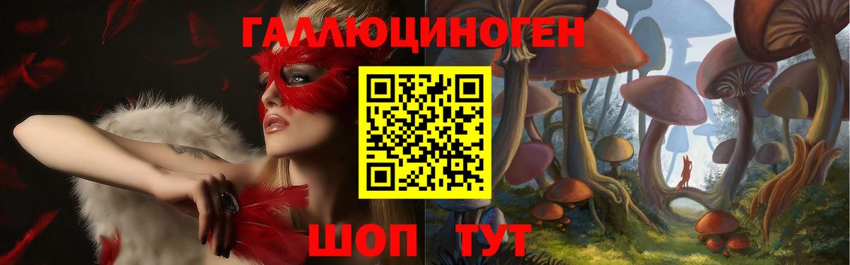 Псилоцибиновые грибы мухоморы Иваново